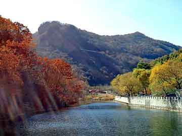 新澳天天开奖资料大全旅游团，孙女扫墓沉迷手机